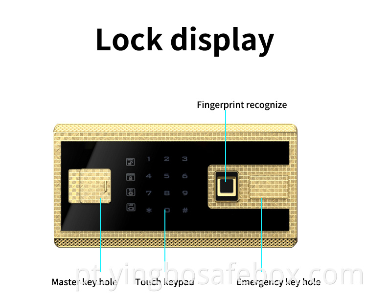 fingerprint safe box